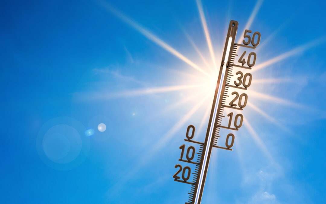 Travailler lors de fortes chaleurs : conseils et mesures de prévention