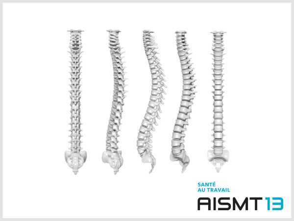 Colonne vertébrale AISMT13